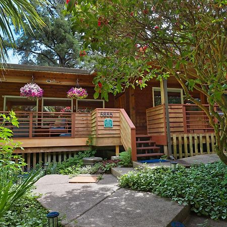 Woods Waves: Luxury Coast Cabin King Beds Pets 蒂拉穆克 外观 照片