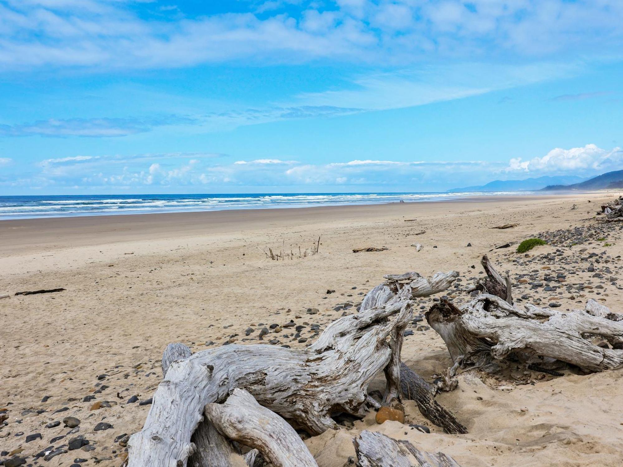 Woods Waves: Luxury Coast Cabin King Beds Pets 蒂拉穆克 外观 照片