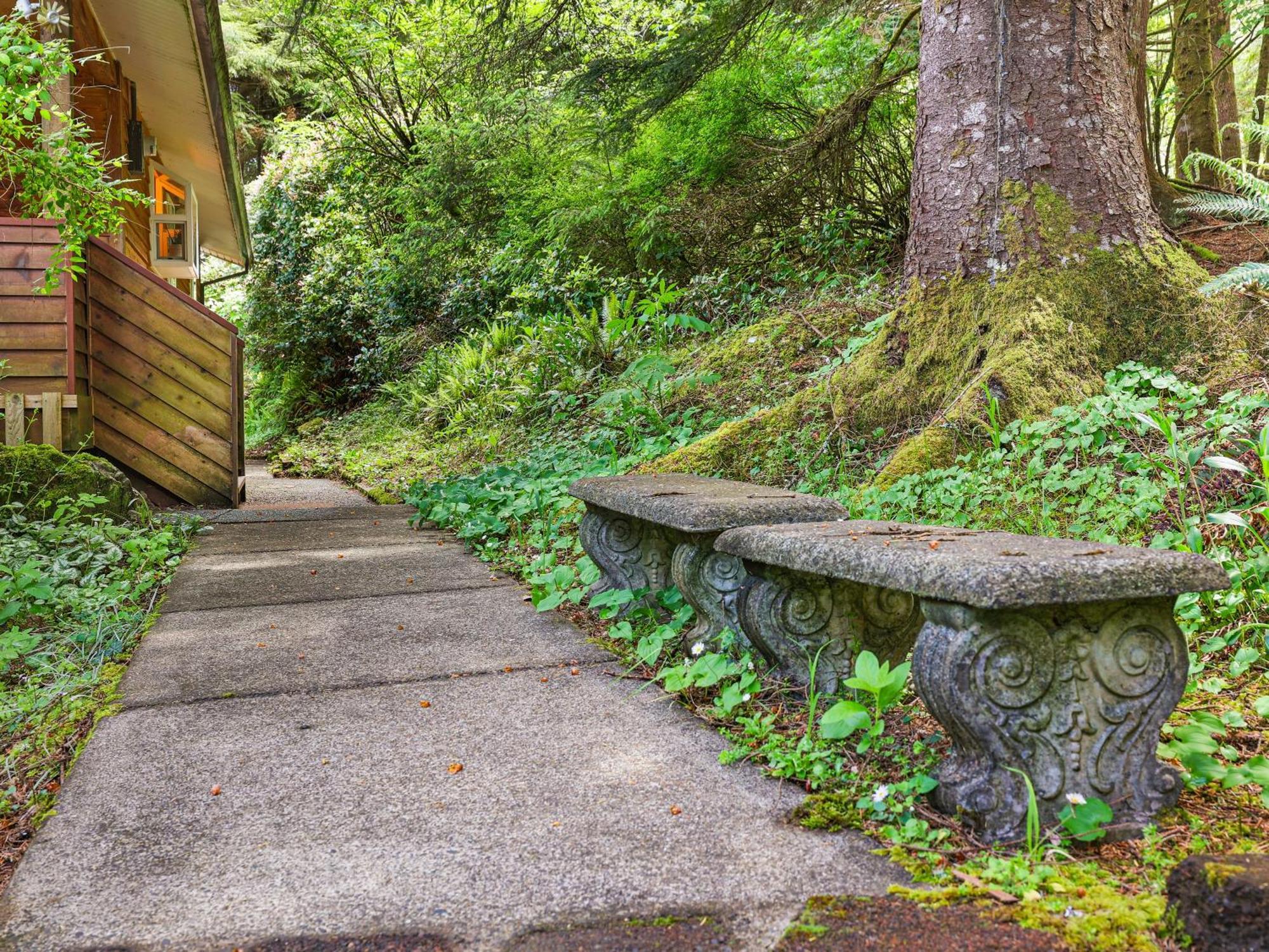 Woods Waves: Luxury Coast Cabin King Beds Pets 蒂拉穆克 外观 照片